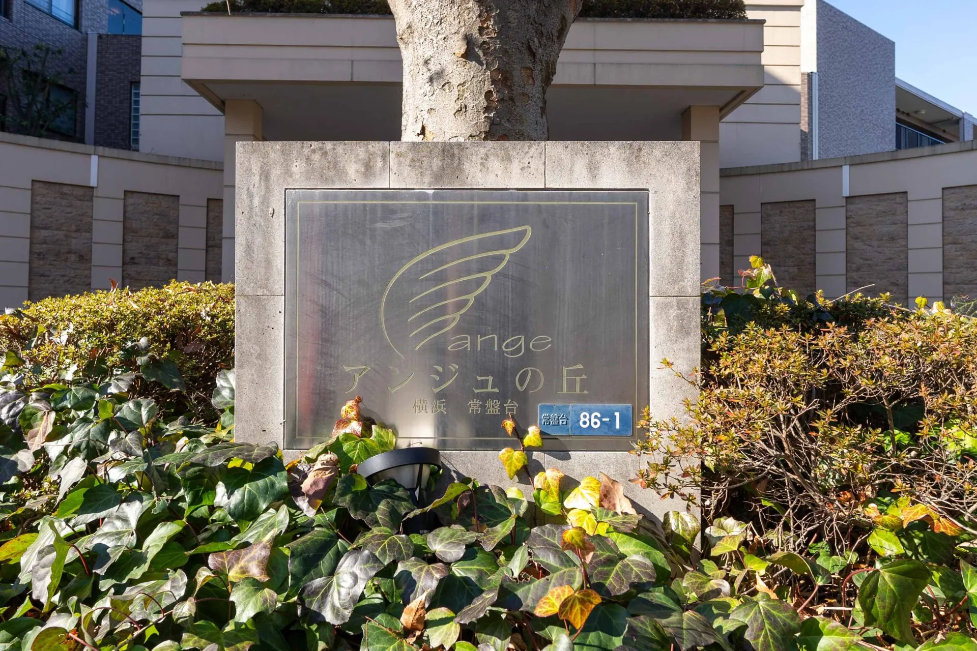 img_title_28／img_caption_28