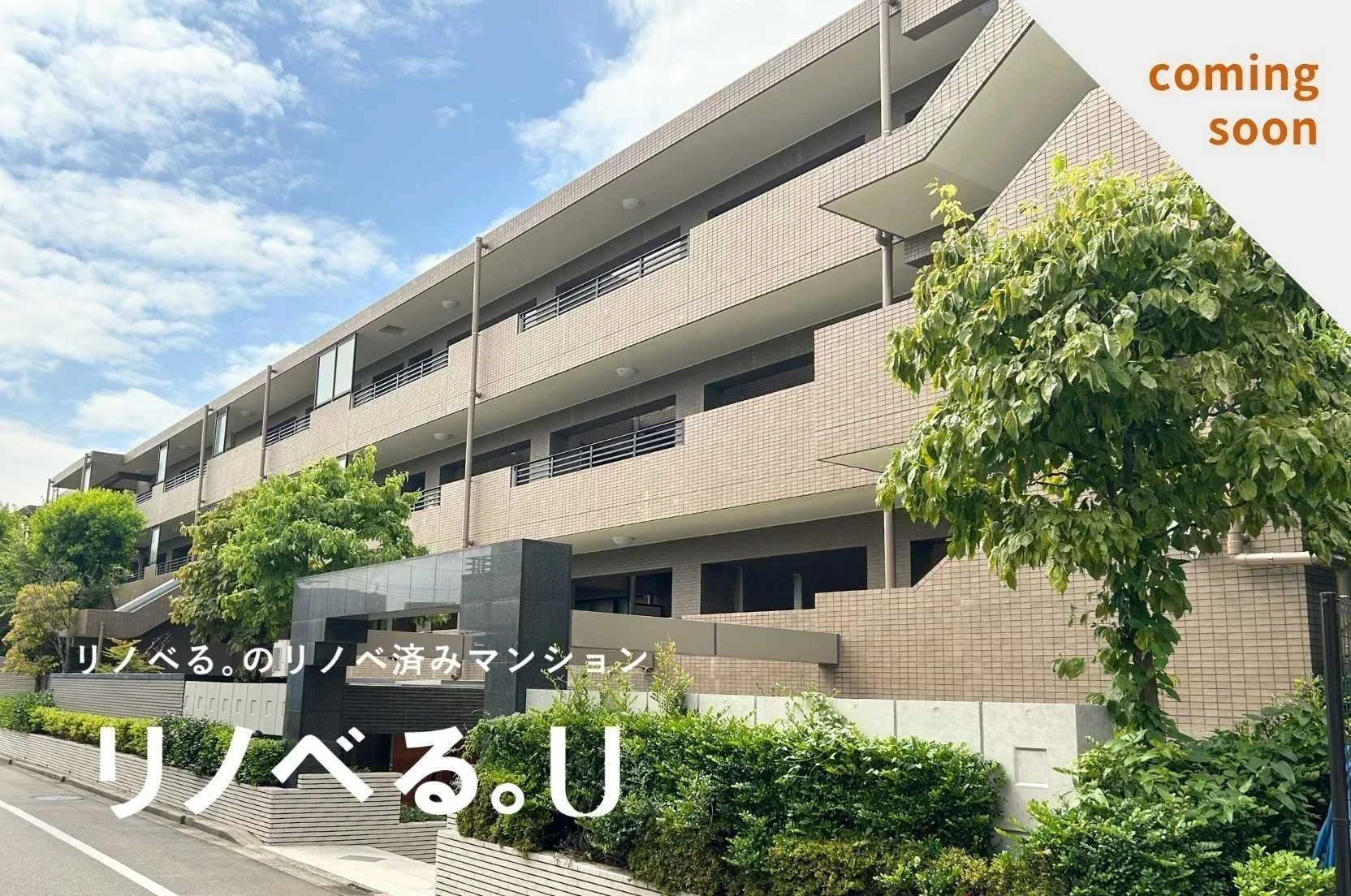 マイコート用賀