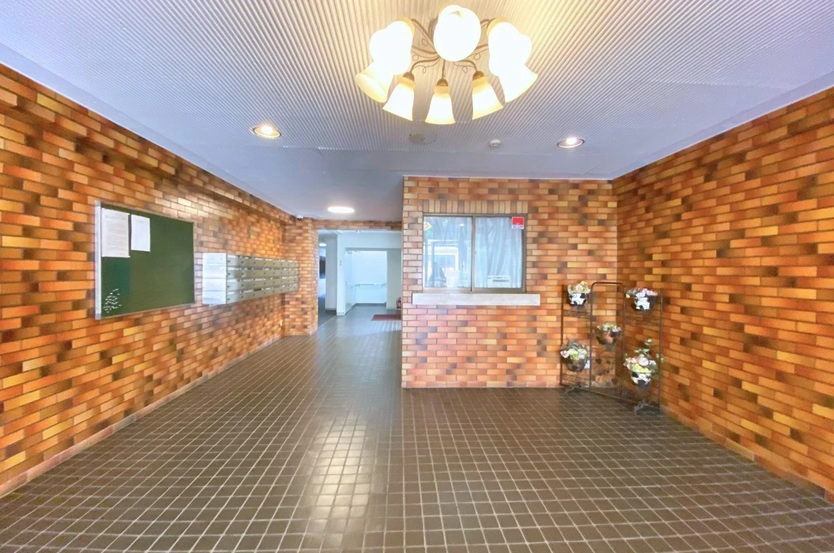 img_title_5／img_caption_5