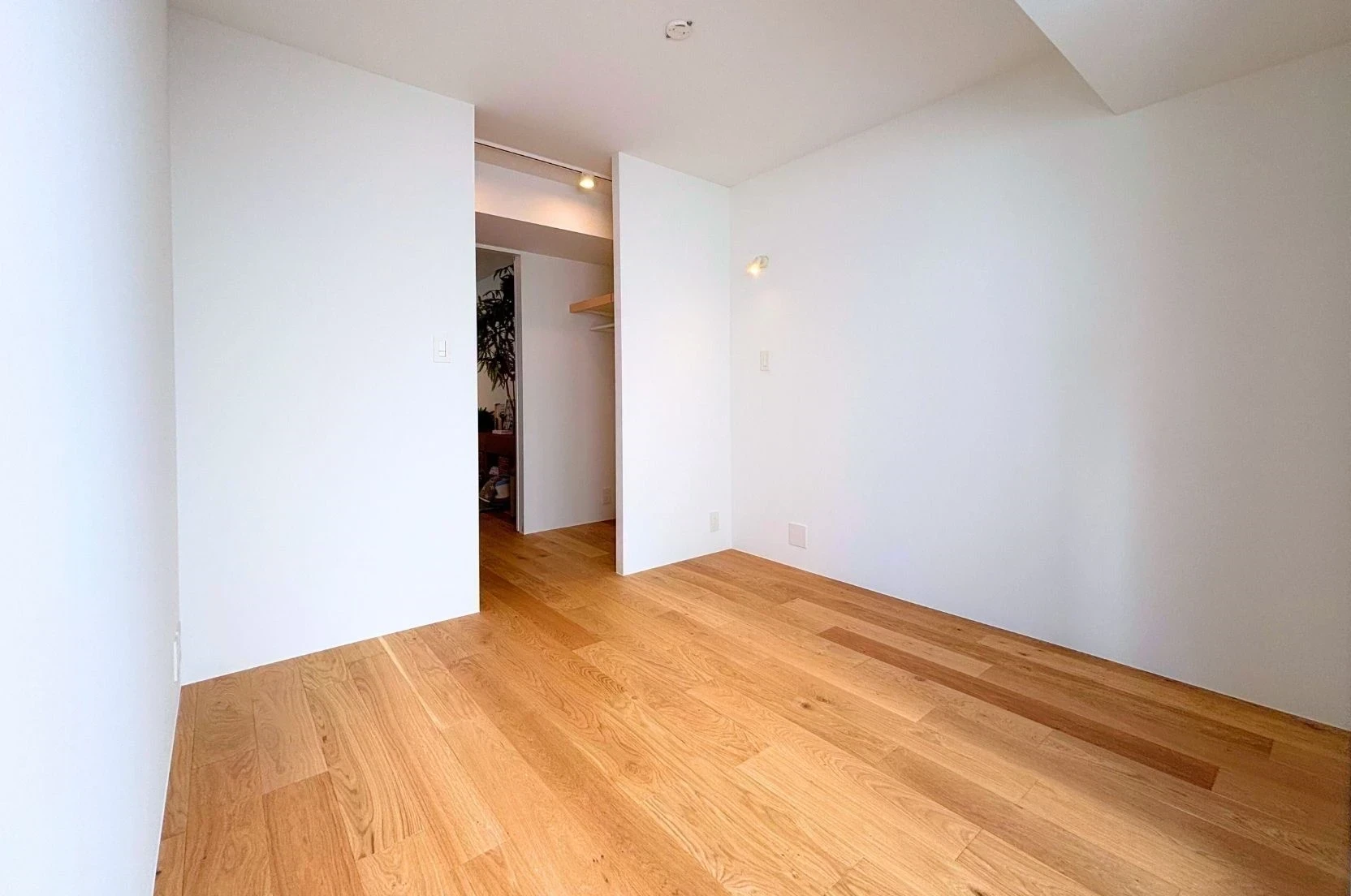 img_title_19／img_caption_19