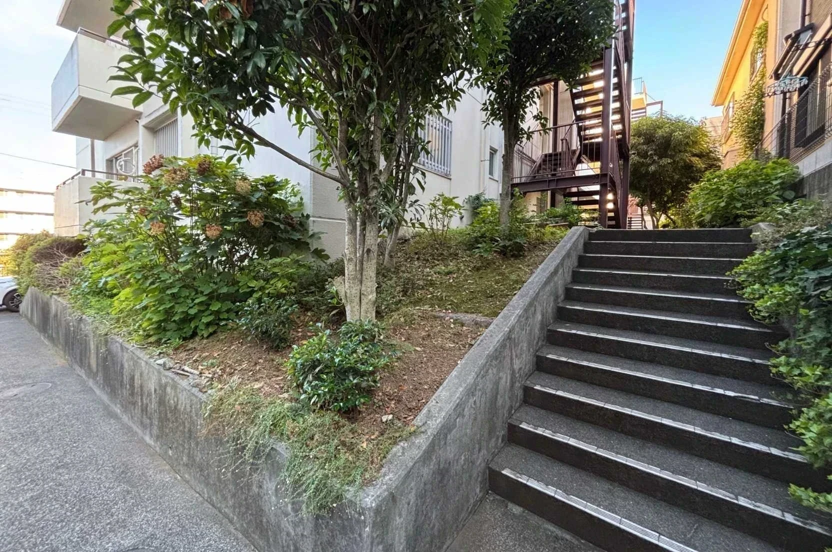 img_title_37／img_caption_37