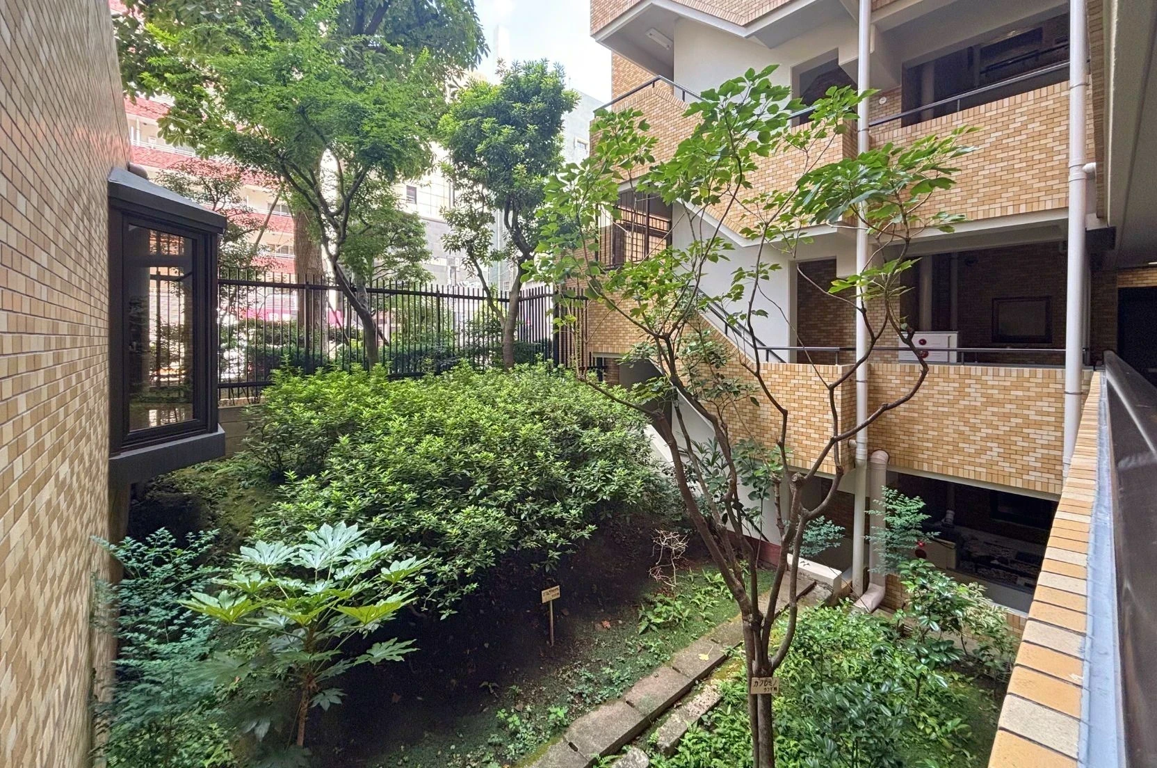 img_title_9／img_caption_9