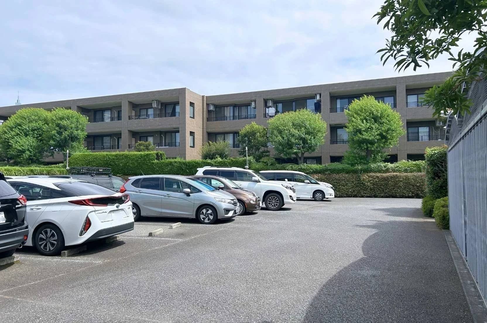 img_title_11／img_caption_11