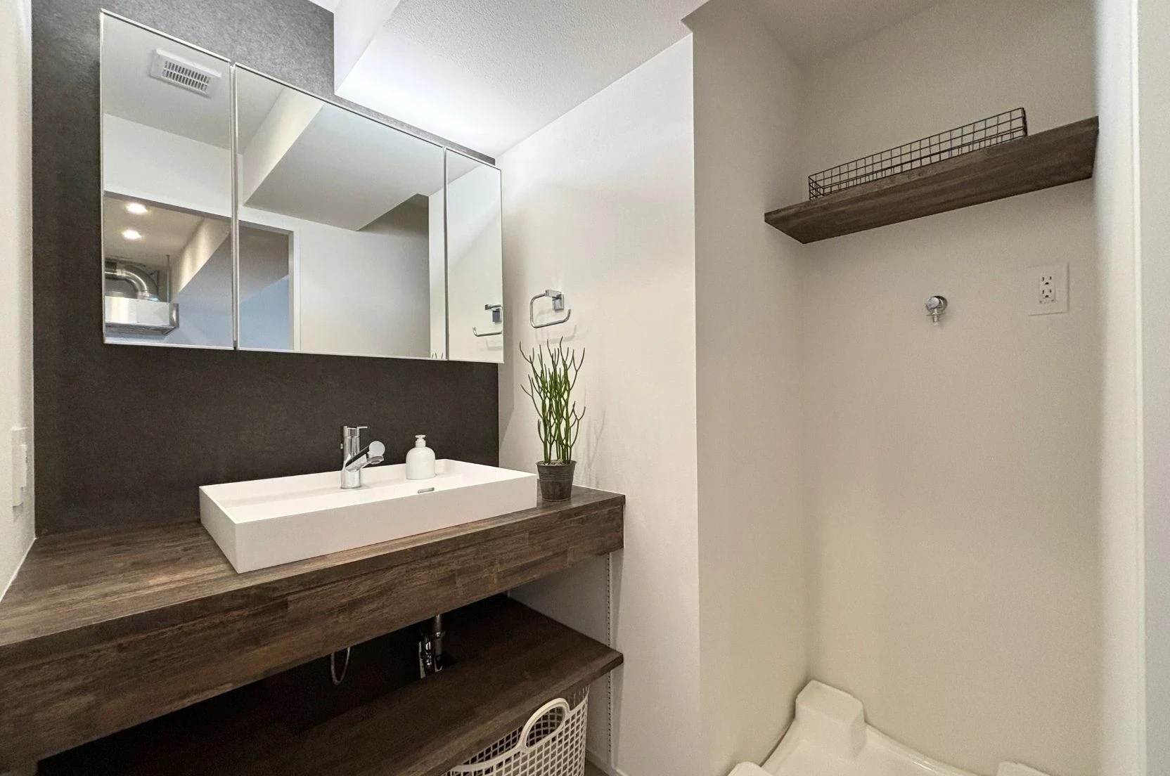 img_title_13／img_caption_13