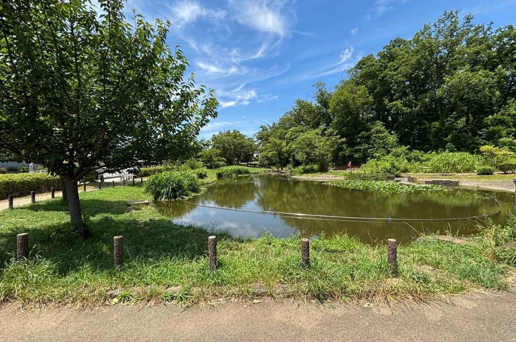 img_title_42／img_caption_42