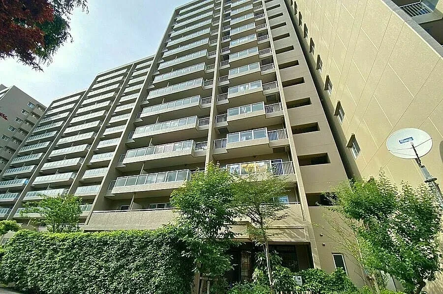 img_title_11／img_caption_11