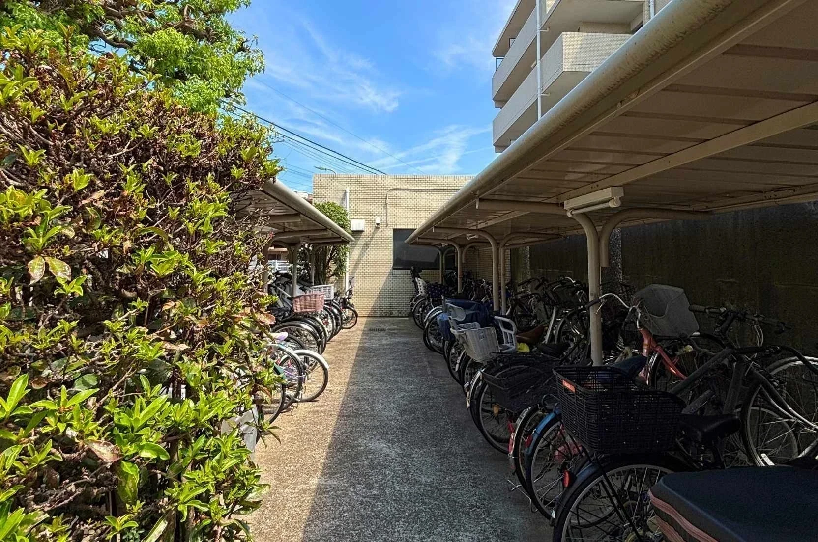 img_title_23／img_caption_23