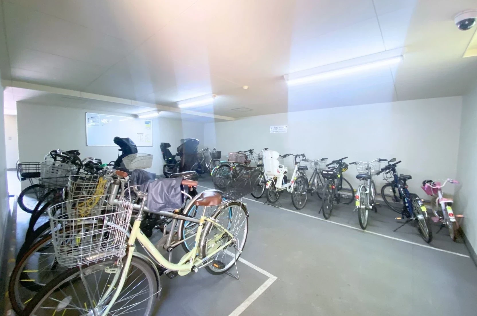 img_title_12／img_caption_12