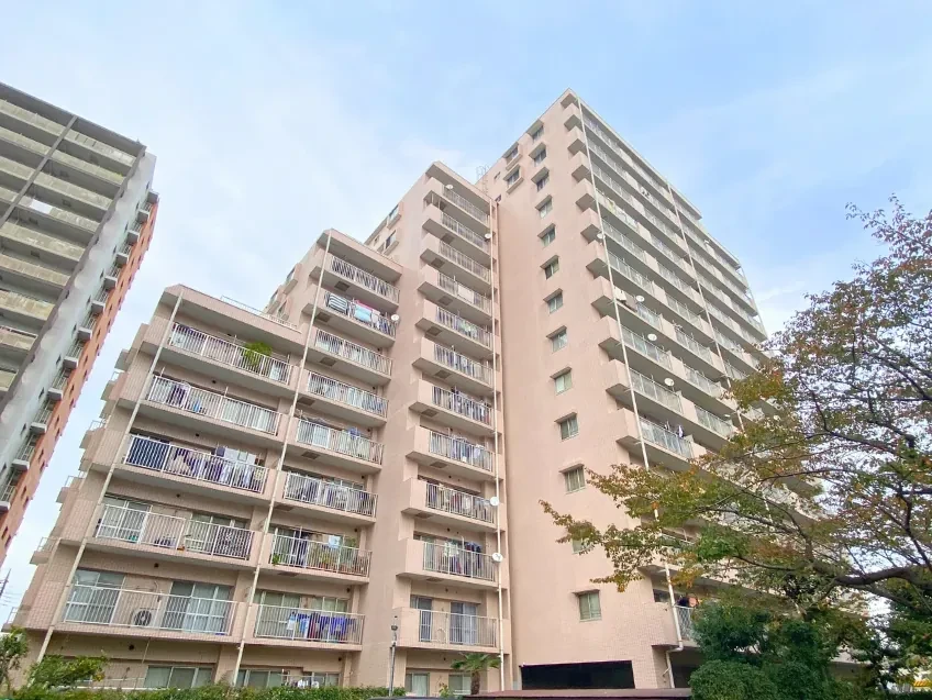 img_title_24／img_caption_24