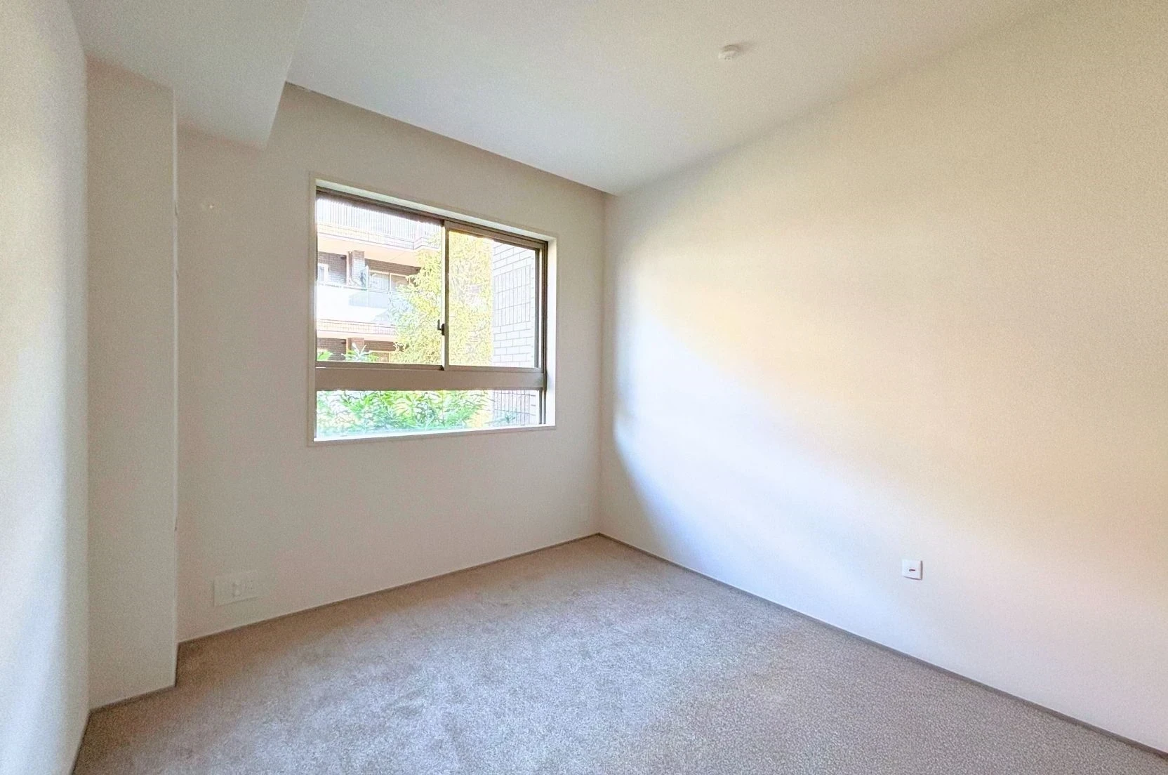 img_title_16／img_caption_16