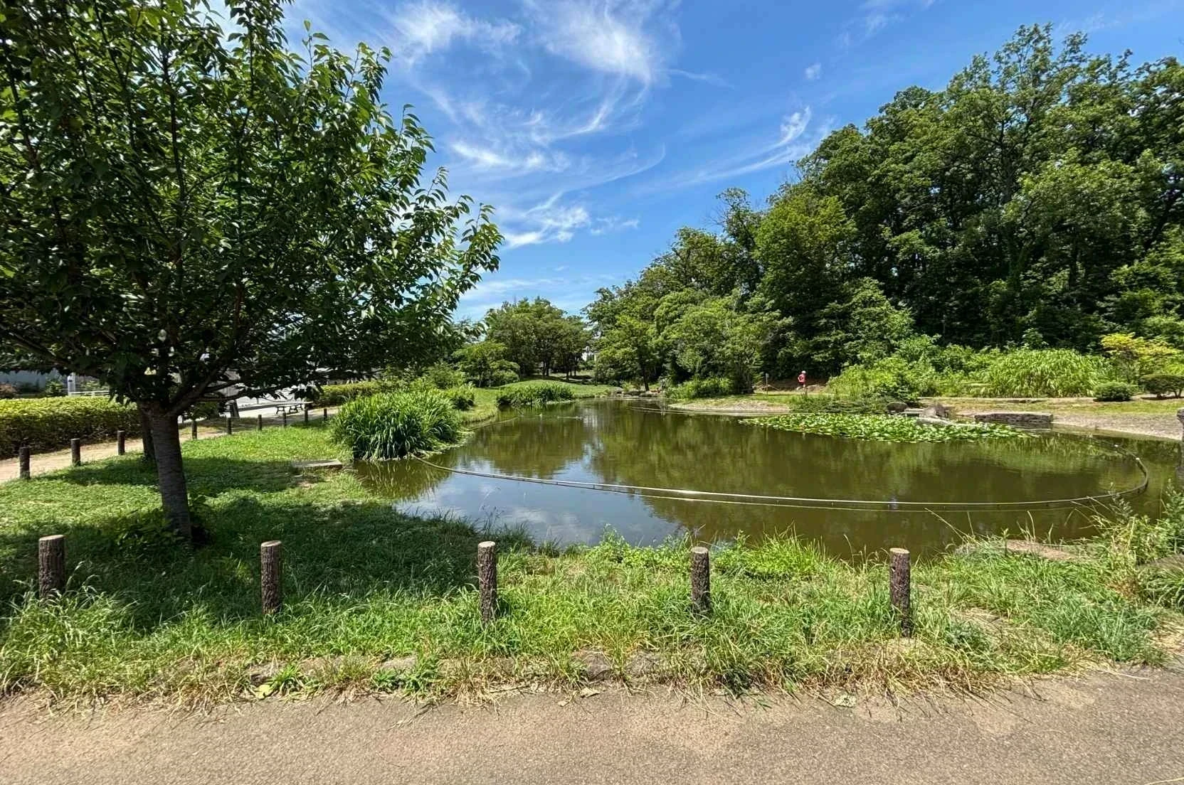 img_title_42／img_caption_42