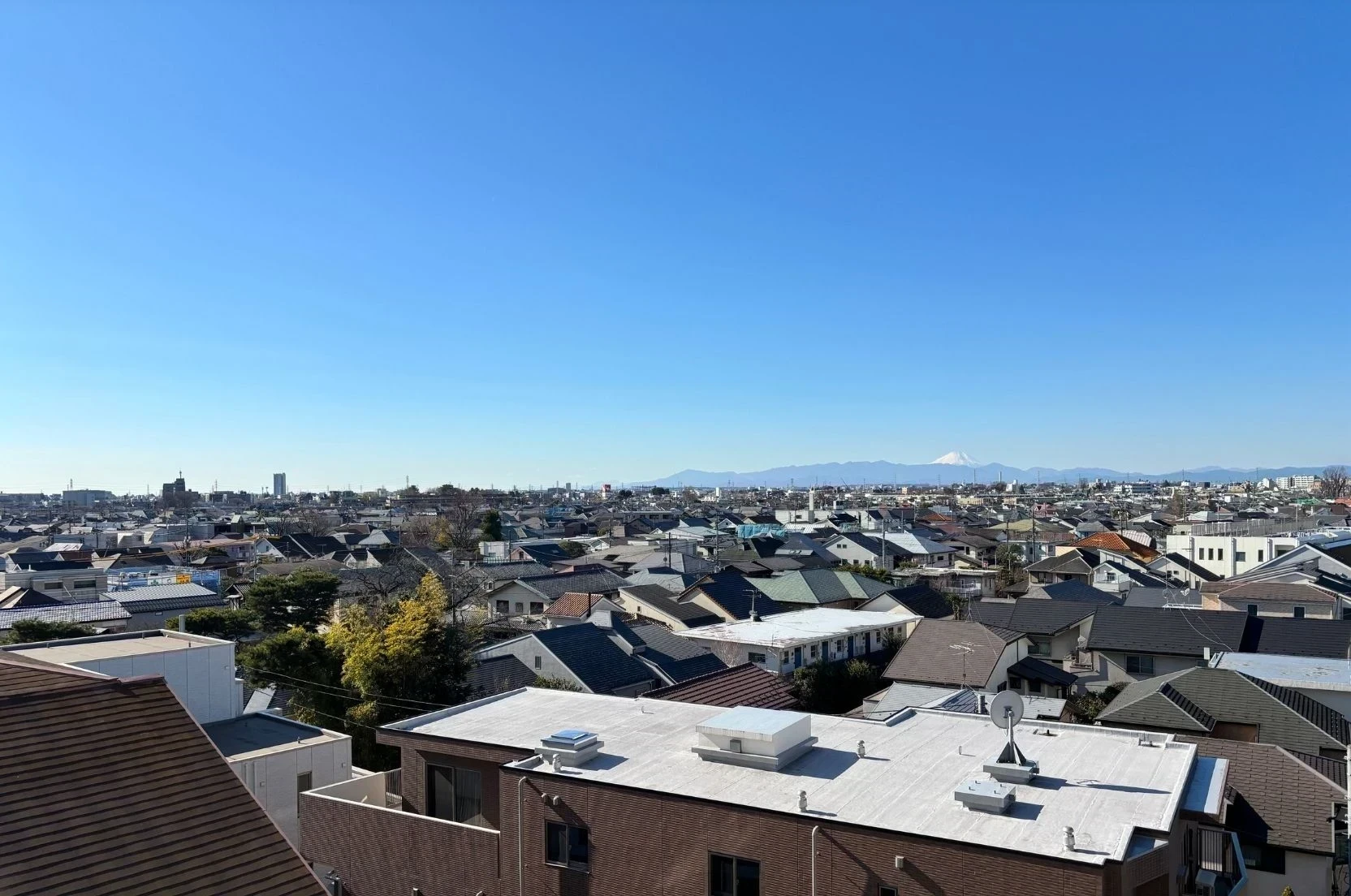 img_title_19／img_caption_19