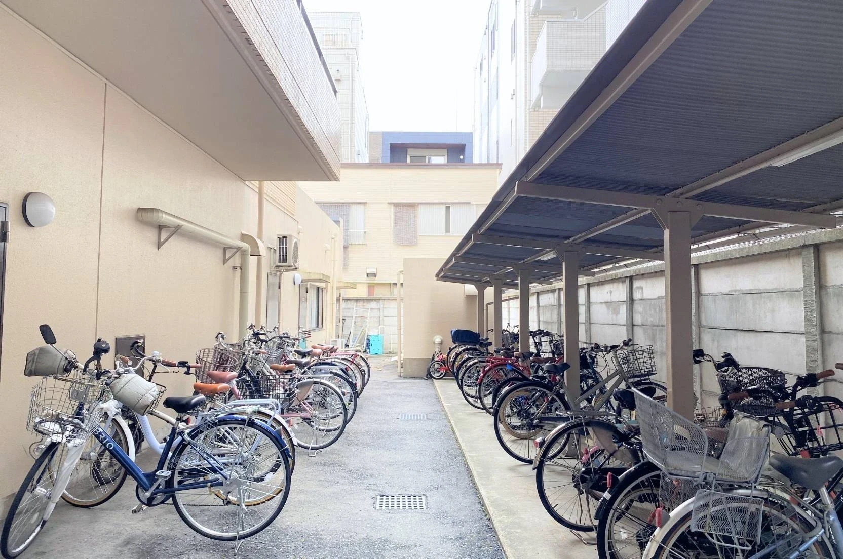 img_title_22／img_caption_22