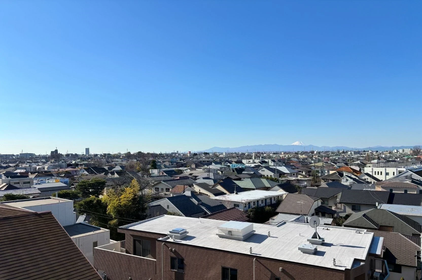 img_title_19／img_caption_19