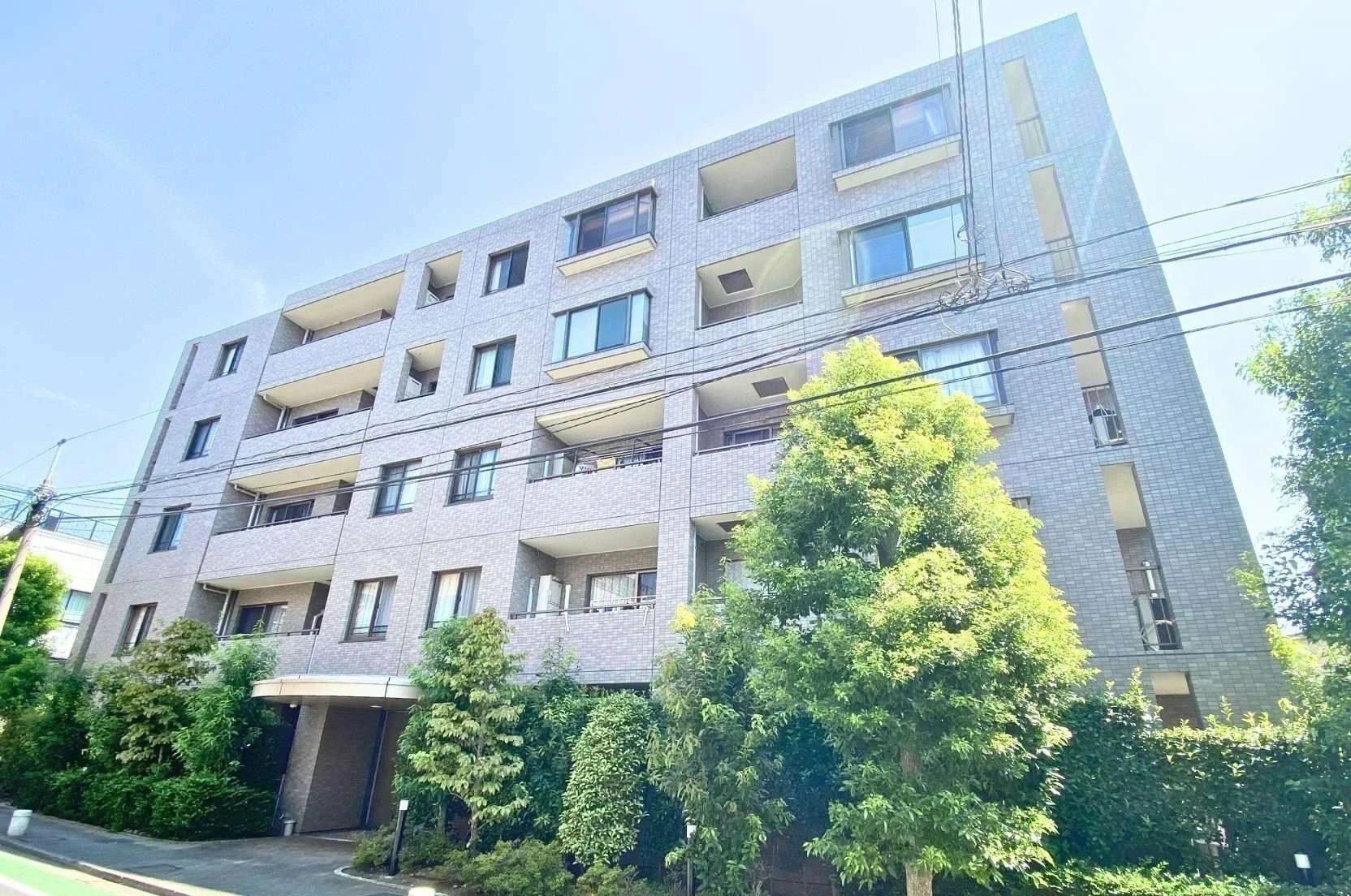 img_title_24／img_caption_24