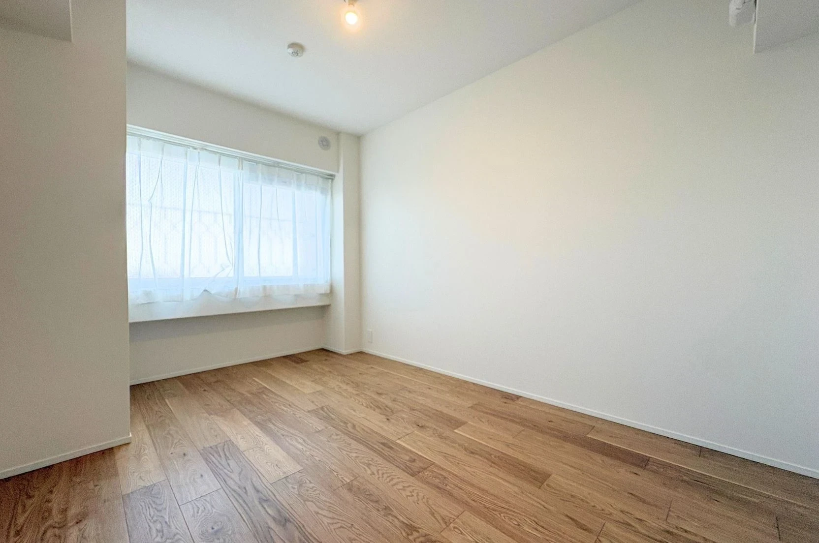 img_title_16／img_caption_16