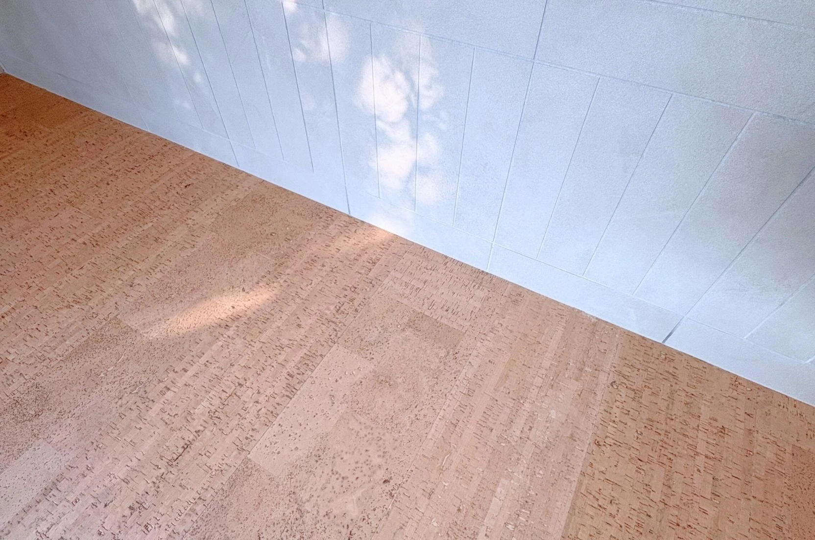 img_title_11／img_caption_11